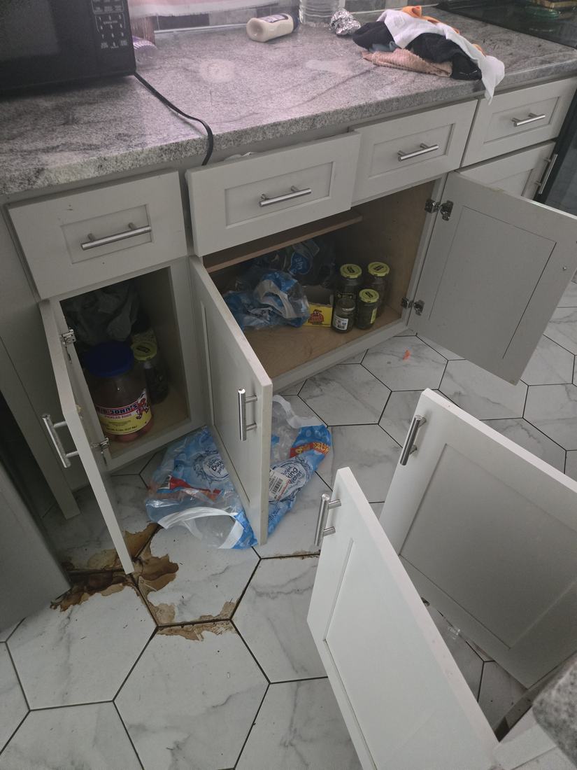 Kitchen before Kidoti Clean trash-out, Birmingham AL
